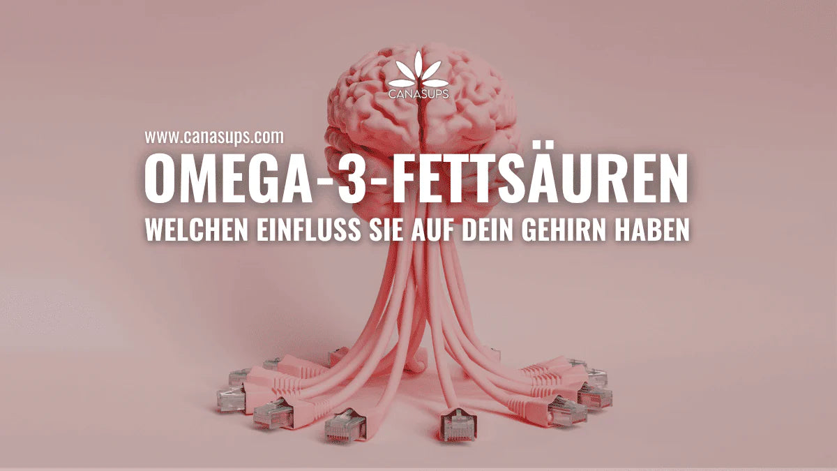 Omega-3-Fettsäuren Welchen Einfluss sie auf Dein Gehirn haben