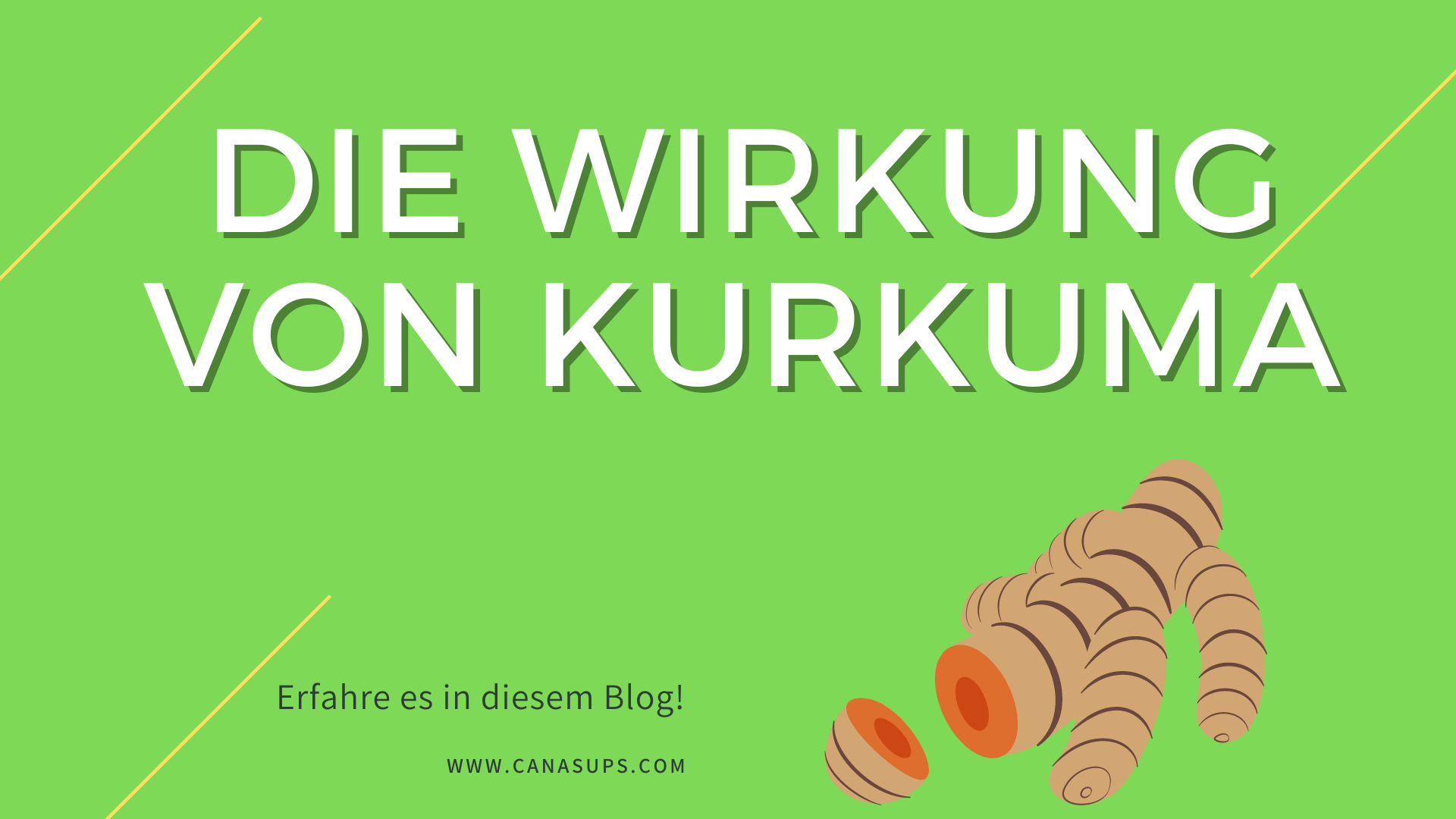 Wirkung Kurkuma CanaSups