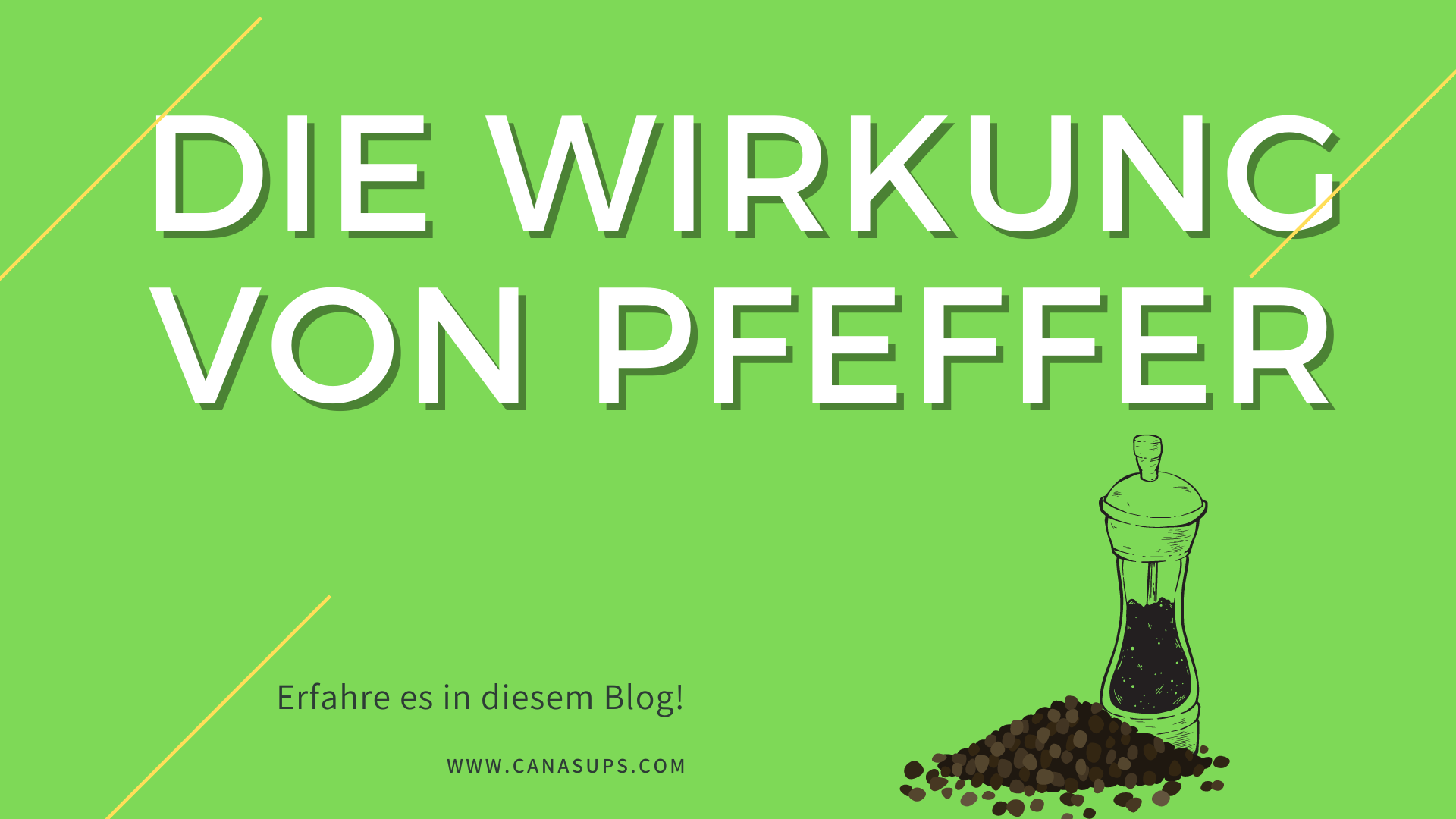 Wirkung Piperin CanaSups