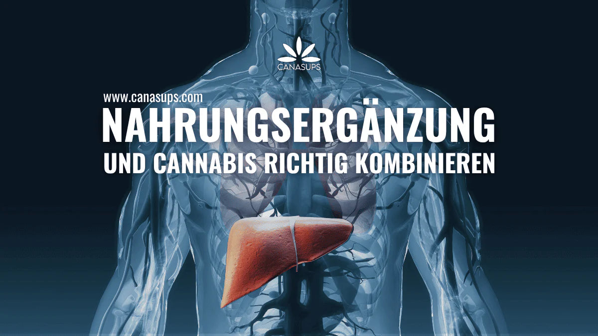 Wie wirkt sich Cannabis auf die Leber aus – und was kann man dagegen tun?