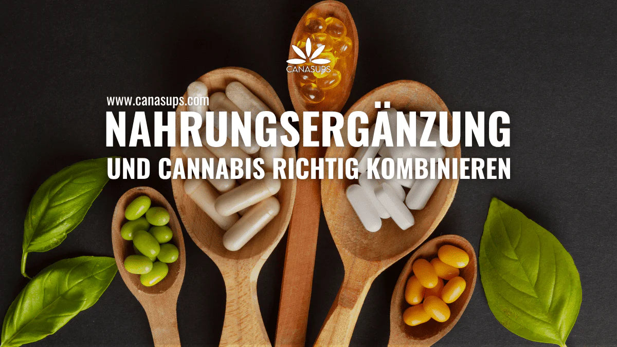 Die perfekte Symbiose: Nahrungsergänzung und Cannabis richtig kombinieren