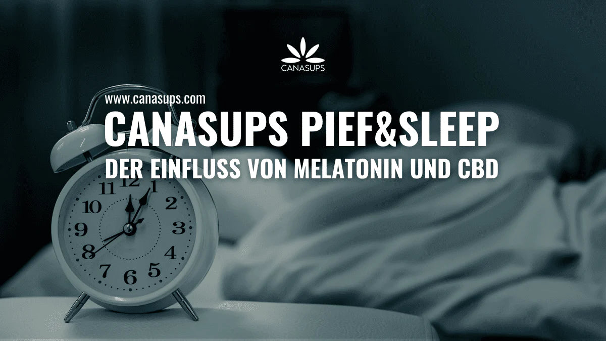 PIEF&SLEEP: Der Einfluss von Melatonin und CBD auf Dein zirkadianes System