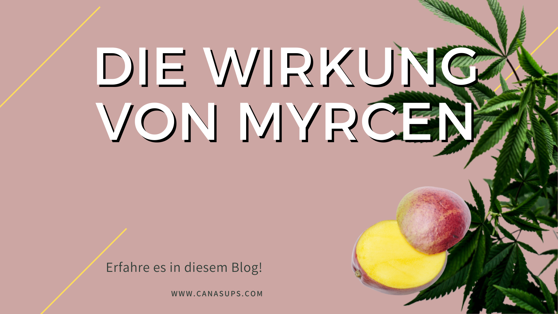 Terpene Myrcen CanaSups