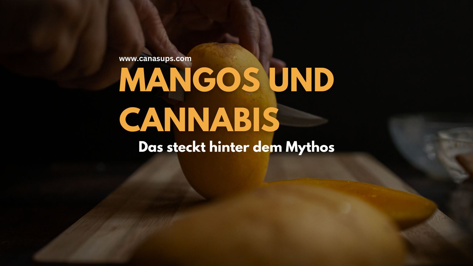 Was Mango und Cannabis gemeinsam haben
