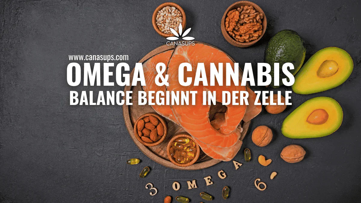 Omega-Fettsäuren und Cannabis: Was steckt hinter dem Zusammenspiel?