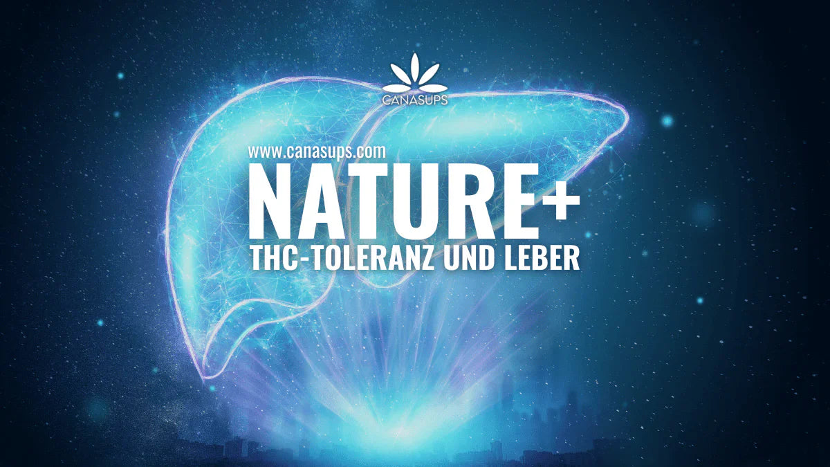 NATURE+: THC-Toleranz und Leber natürlich im Griff