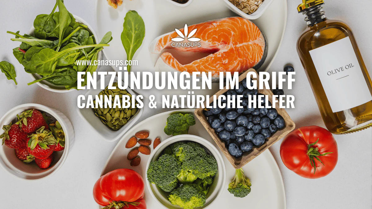 Regulierung von Entzündungsprozessen: Wie Cannabis-Konsumenten profitieren könnten