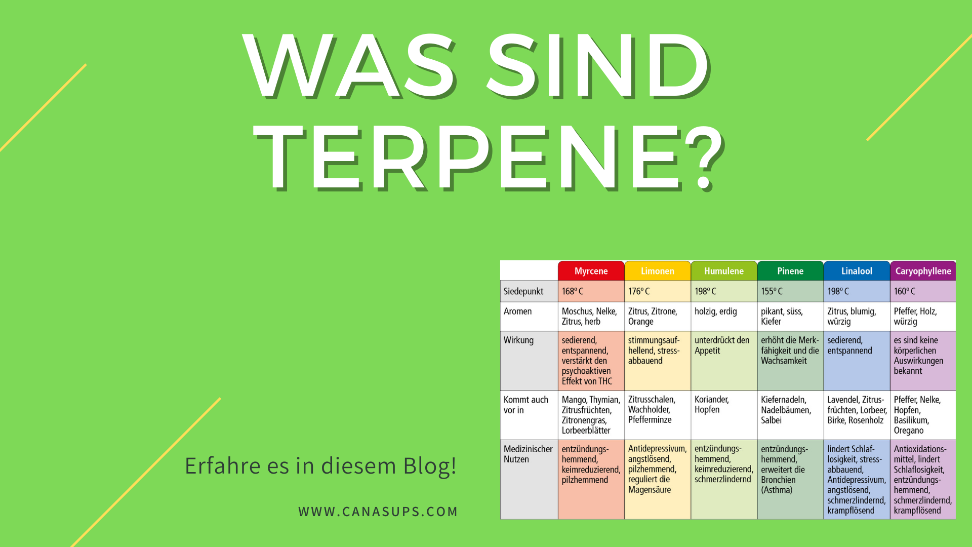 WAS SIND TERPENE?