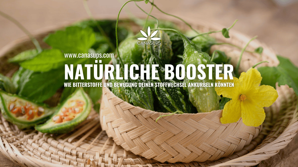 THC im Körper Wie es abgebaut wird und was du tun kannst