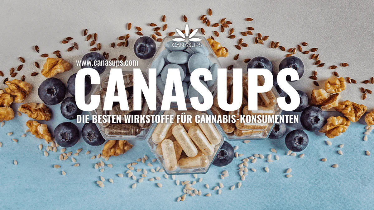 Die besten Wirkstoffe für Cannabis-Konsumenten NATURE+, MANGO+, OMEGA+ und PIEF&SLEEP