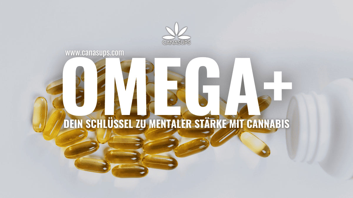 OMEGA+ – Mehr Klarheit und Fokus für Cannabis-Genießer dank Omega-3
