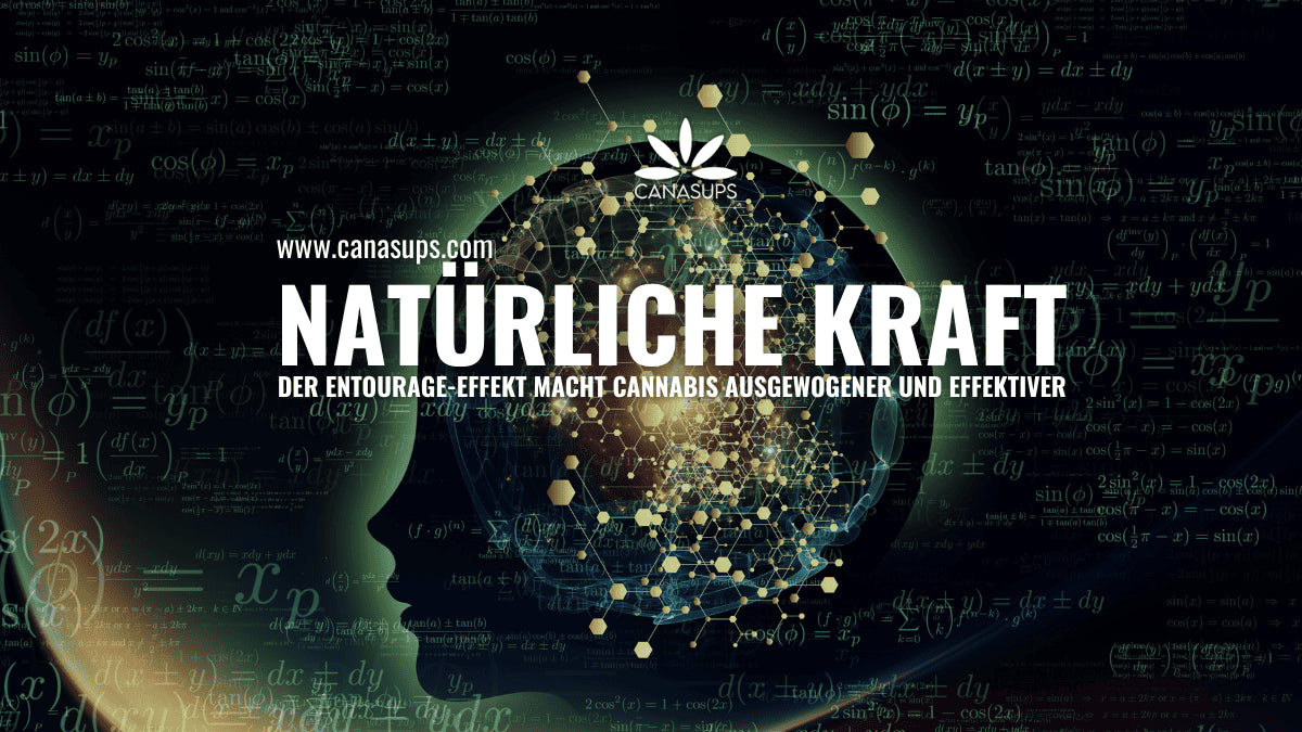 Der Entourage-Effekt Warum „gemeinsam“ bei Cannabis besser wirkt