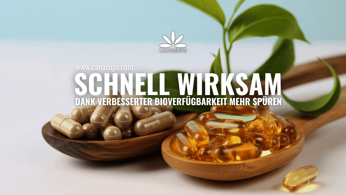 Wie lässt sich die Bioverfügbarkeit von Cannabis-Supplements verbessern