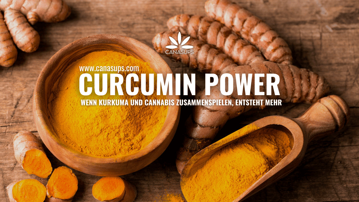 Kurkumawurzelpulver und Cannabis Goldene Unterstützung für dein Wohlbefinden