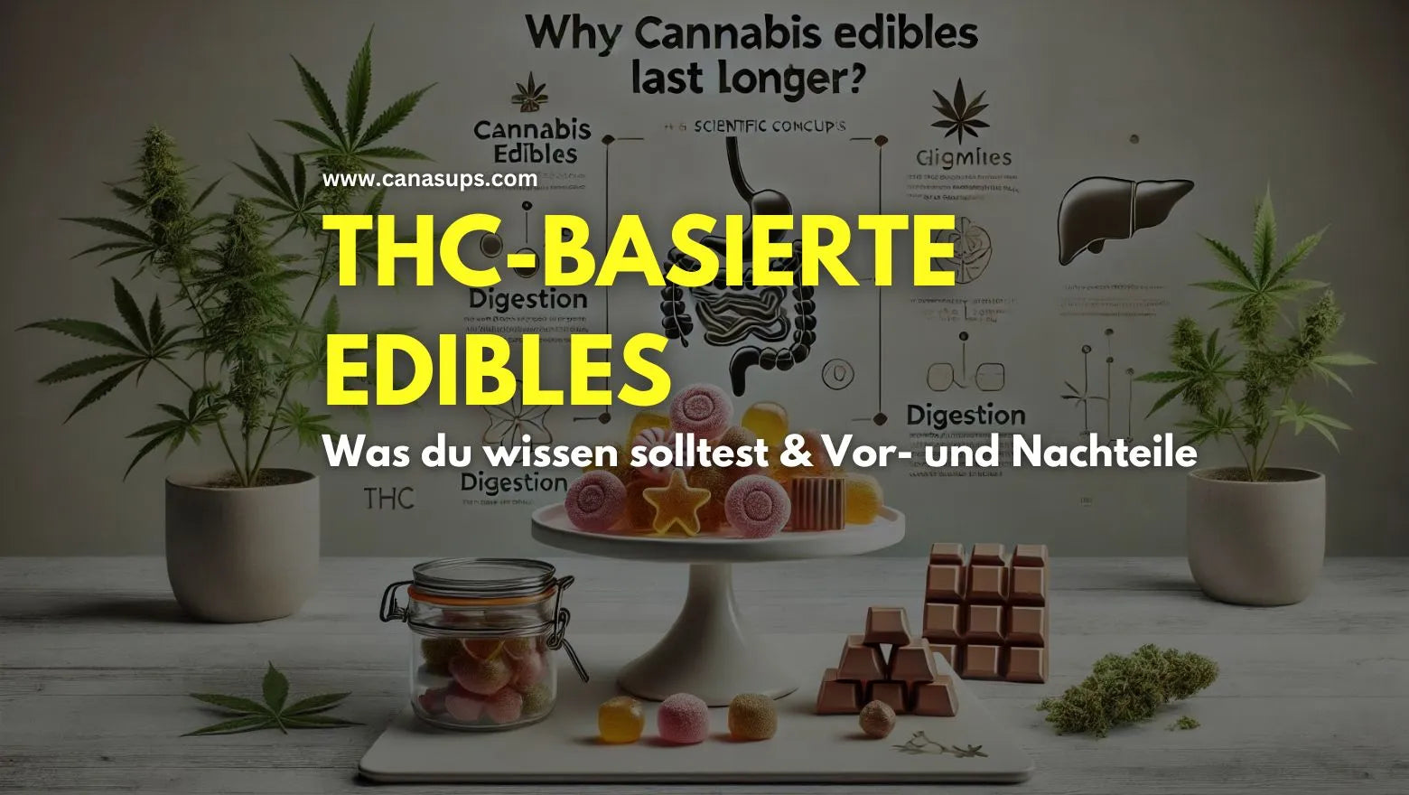 THC-basierte Edibles: Vor- und Nachteile