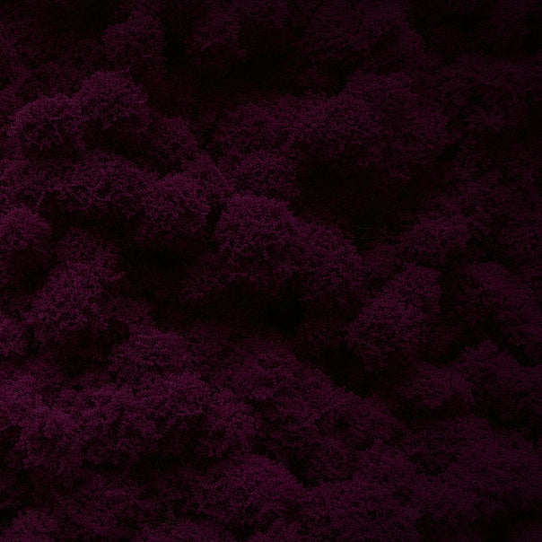 dottey_wallpaper_with_cannabis_buds_looking_like_fluffy_moss_in_325fa7e1-b3ab-4690-8037-436b4bcb79a1_2.webp